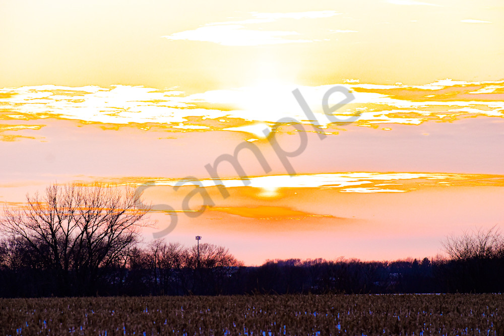 Dsc0076 4 Photography Art | Photos By Regan