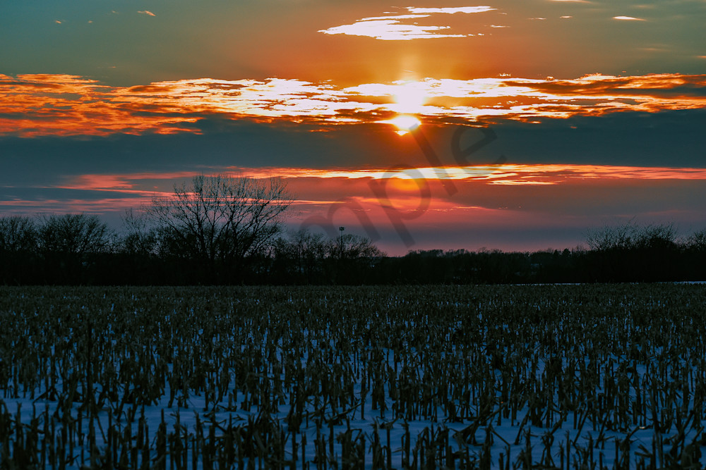 Dsc0073 6 Photography Art | Photos By Regan