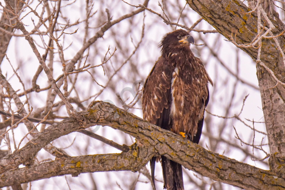 Dsc0042 2 Photography Art | Photos By Regan