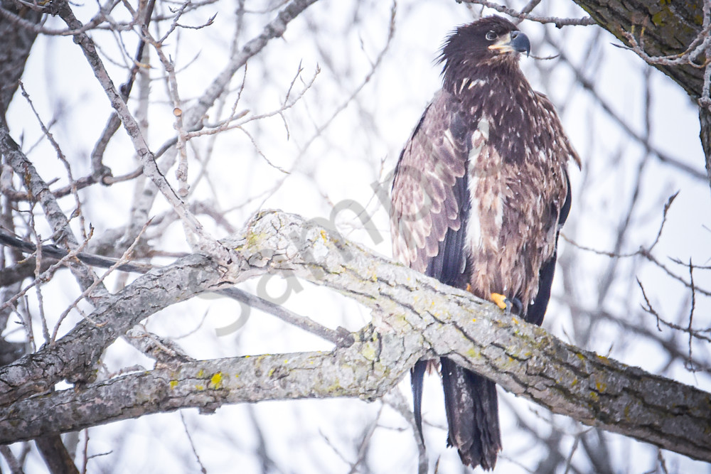 Dsc0043 2 Photography Art | Photos By Regan