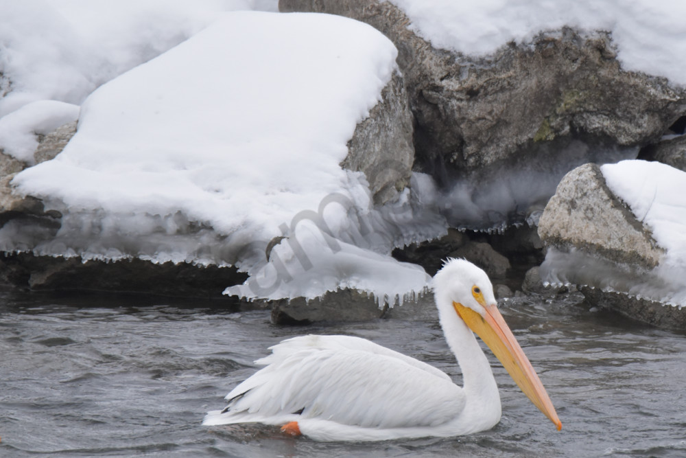 Dsc0121 2 Photography Art | Photos By Regan