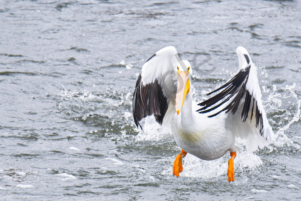 Dsc0127 3 Photography Art | Photos By Regan