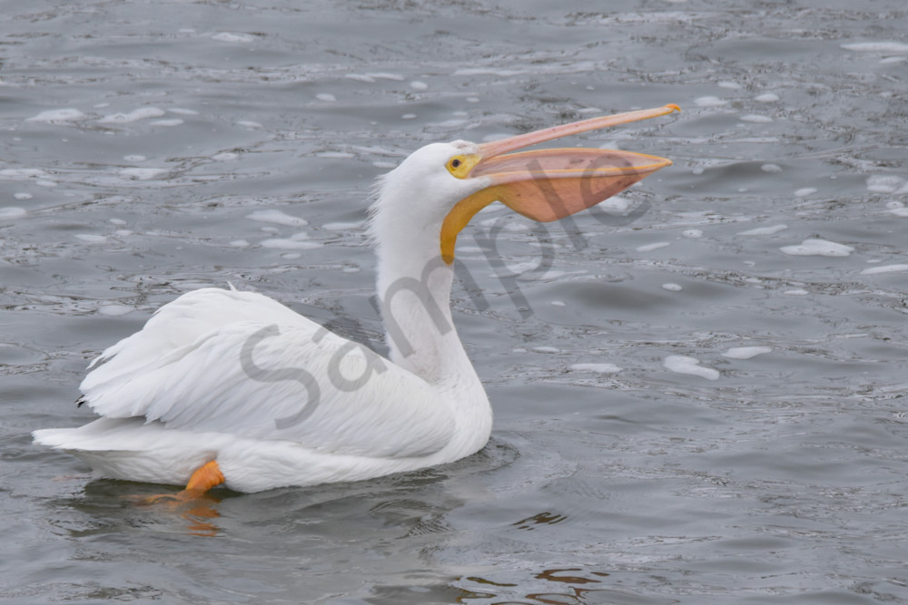 Dsc0041 3 Photography Art | Photos By Regan