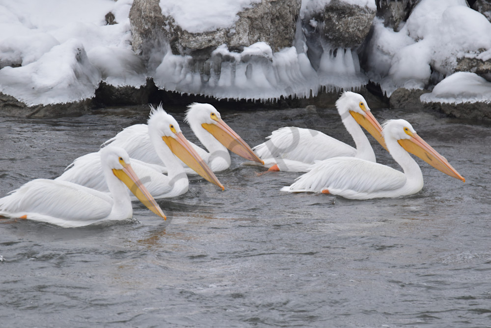 Dsc0126 3 Photography Art | Photos By Regan