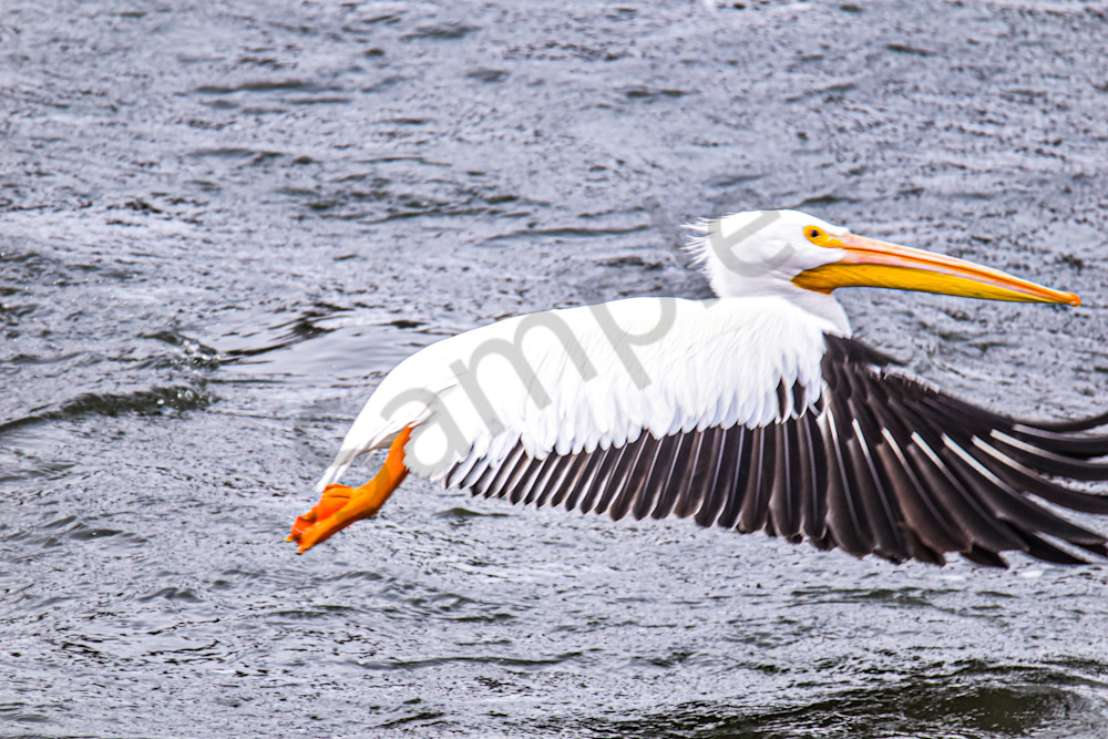 Dsc0413 Photography Art | Photos By Regan