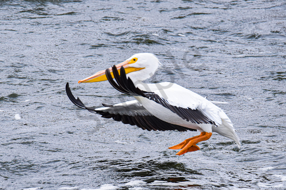 Dsc0334 Photography Art | Photos By Regan