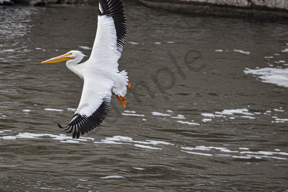 Dsc0323 Photography Art | Photos By Regan