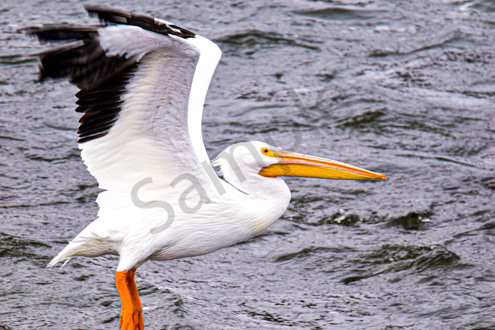 Dsc0412 Photography Art | Photos By Regan