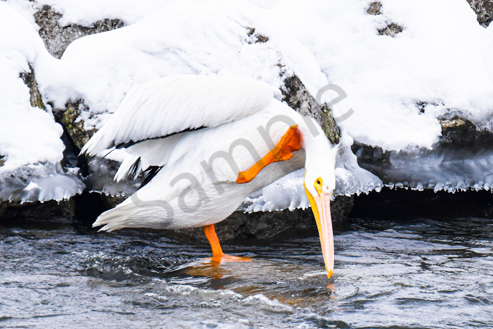 Dsc0196 Photography Art | Photos By Regan