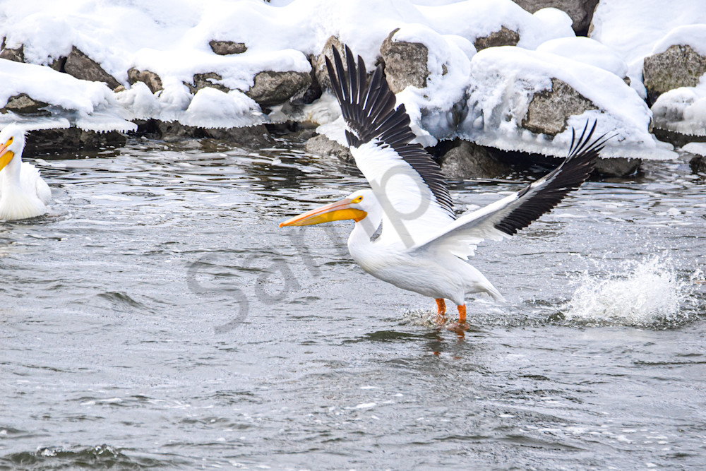 Dsc0374 Photography Art | Photos By Regan