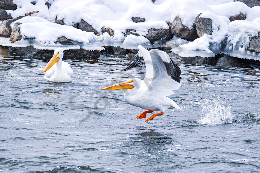 Dsc0375 Photography Art | Photos By Regan