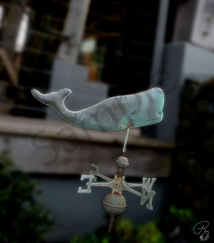 Whale Vane01 Photography Art | RMaging Gallery Associates