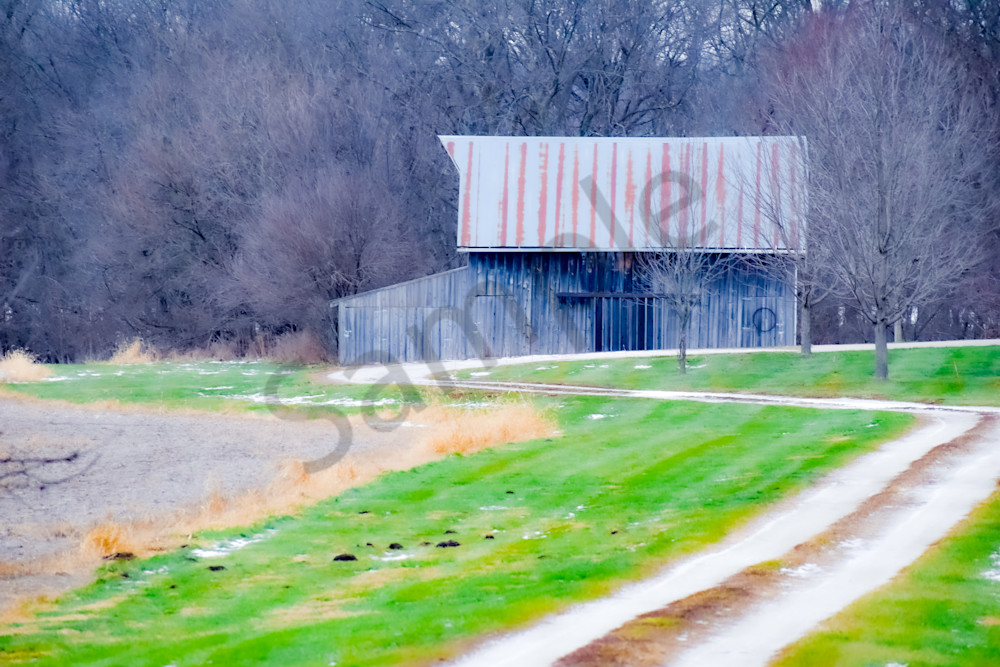 Dsc0009 9 Photography Art | Photos By Regan
