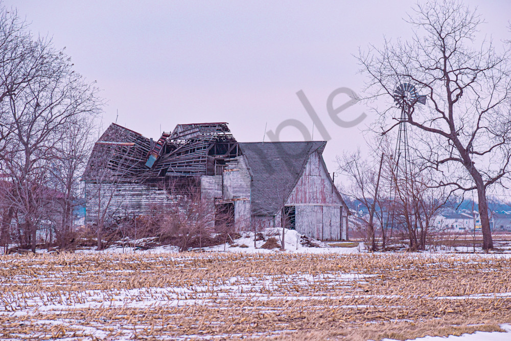 Dsc0002 11 Photography Art | Photos By Regan