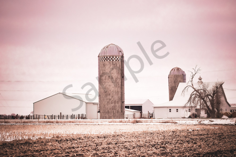 Dsc0003 8 Photography Art | Photos By Regan