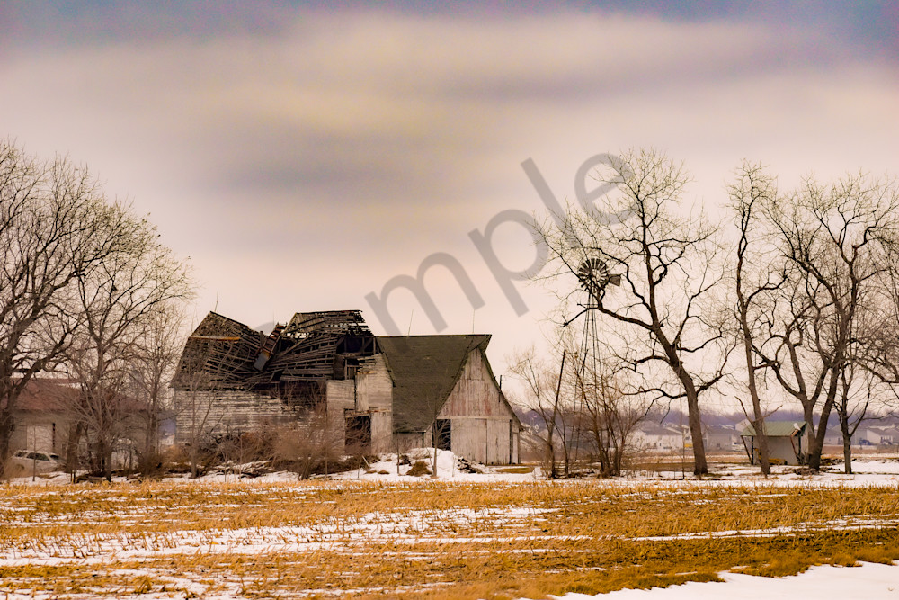 Dsc0001 12 Photography Art | Photos By Regan