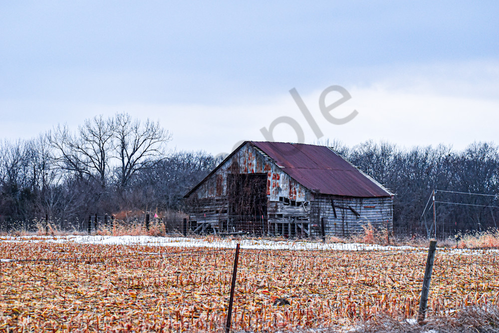 Dsc0007 10 Photography Art | Photos By Regan