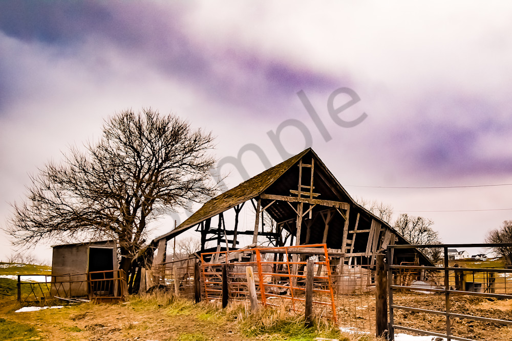 Dsc0014 10 Photography Art | Photos By Regan