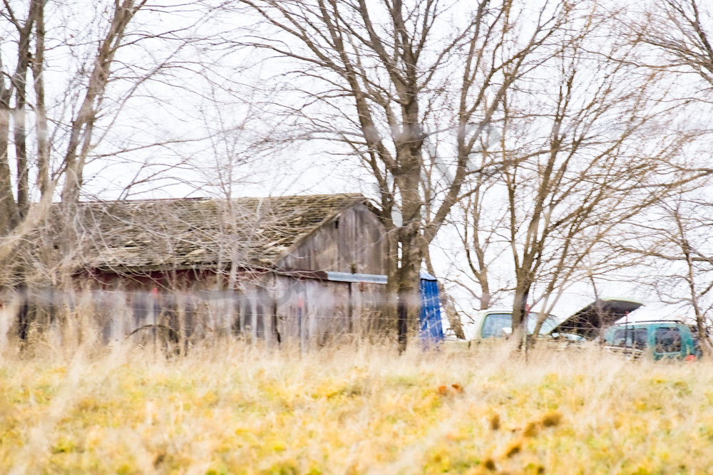 Dsc0013 11 Photography Art | Photos By Regan