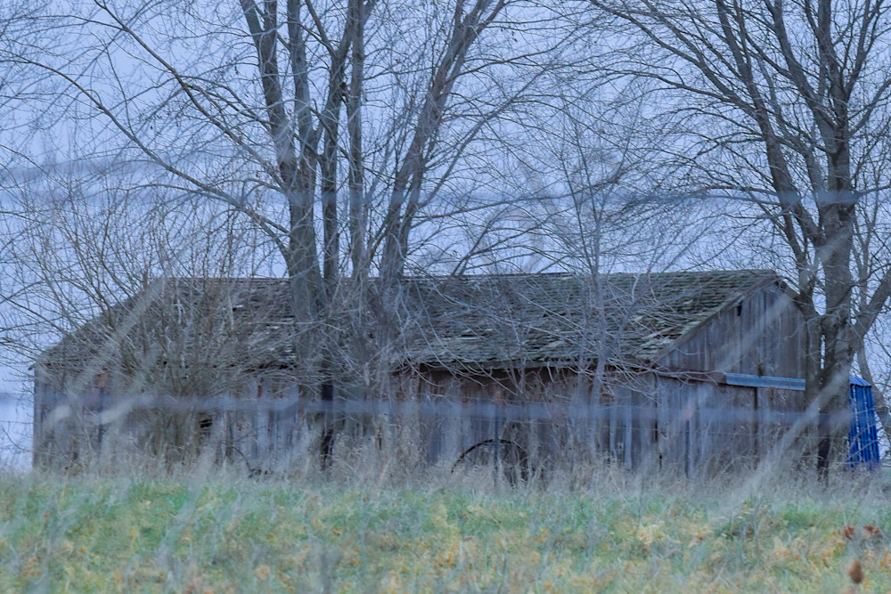 Dsc0011 13 Photography Art | Photos By Regan