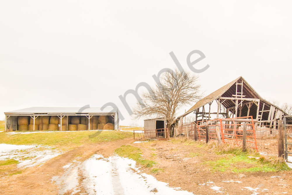 Dsc0017 4 Photography Art | Photos By Regan