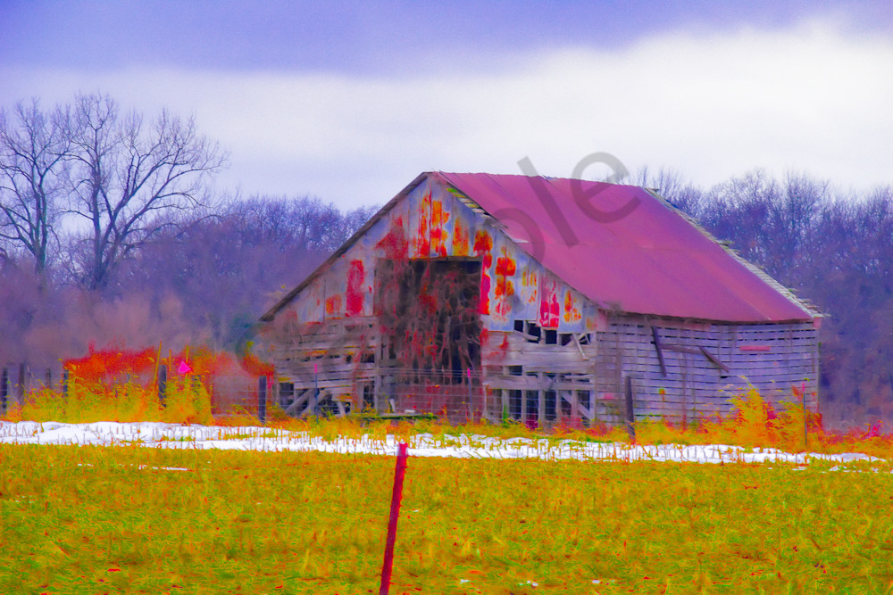 Dsc0005 13 Photography Art | Photos By Regan