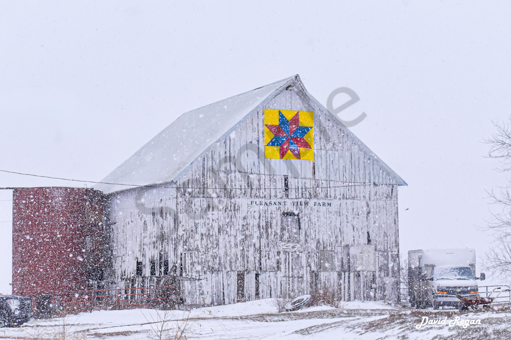 Dsc0051 5 Photography Art | Photos By Regan