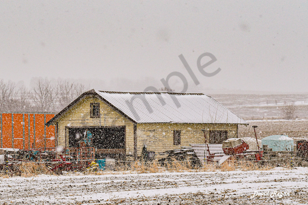 Dsc0045 5 Photography Art | Photos By Regan