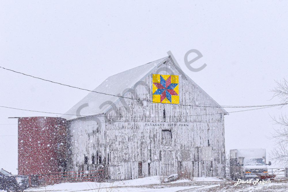 Dsc0050 3 Photography Art | Photos By Regan