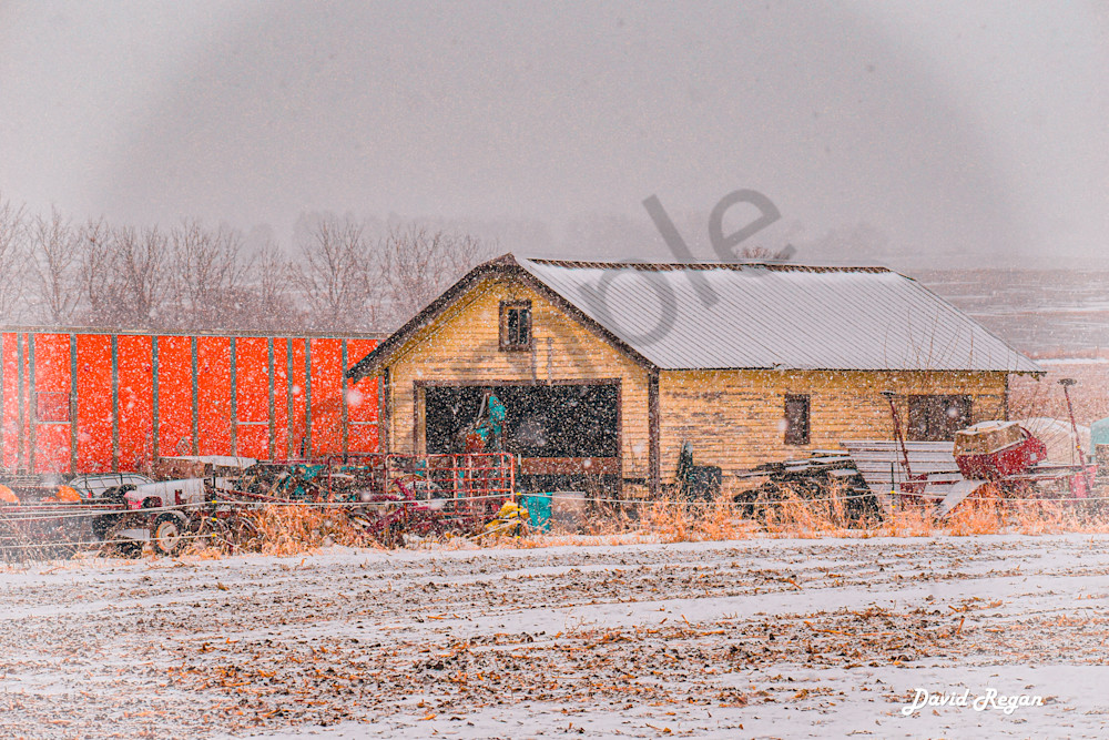 Dsc0044 3 Photography Art | Photos By Regan