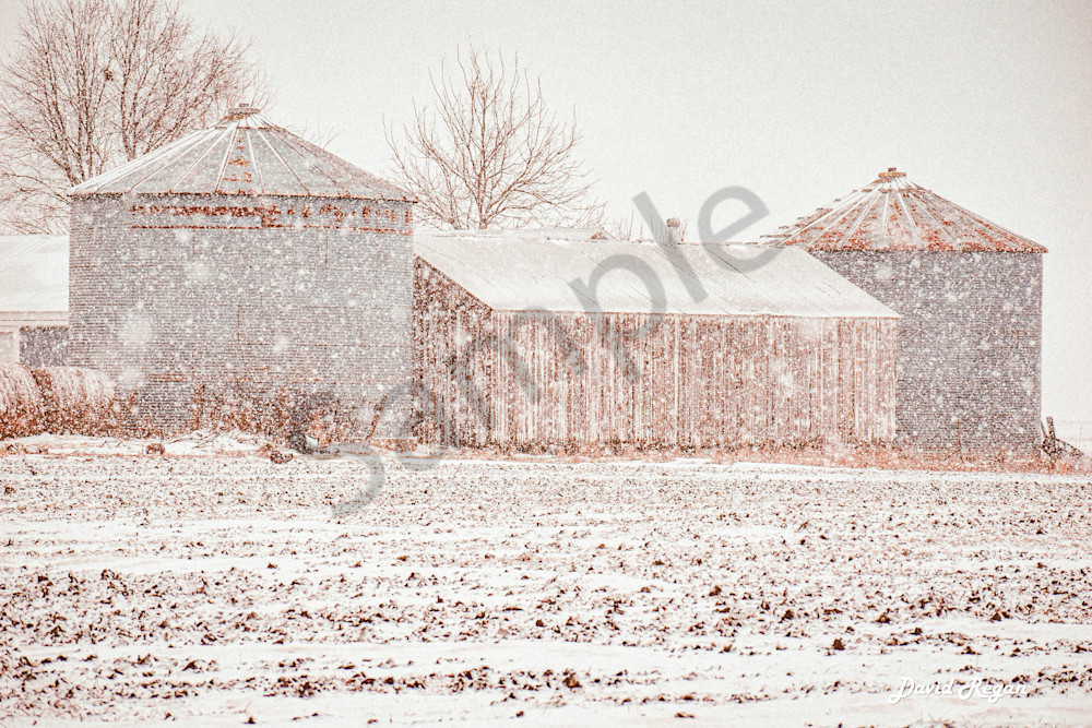 Dsc0055 3 Photography Art | Photos By Regan