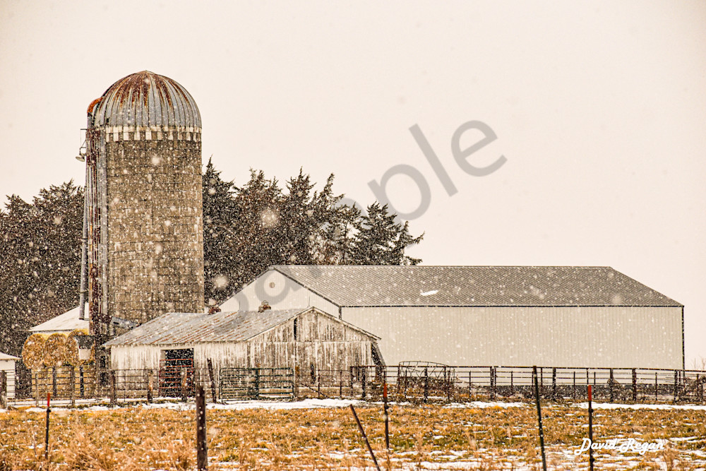 Dsc0004 7 Photography Art | Photos By Regan