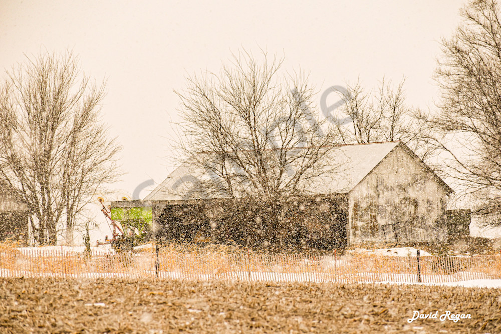 Dsc0007 11 Photography Art | Photos By Regan