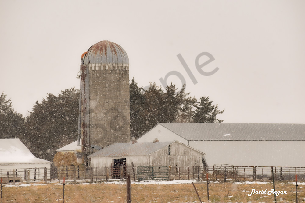 Dsc0006 12 Photography Art | Photos By Regan