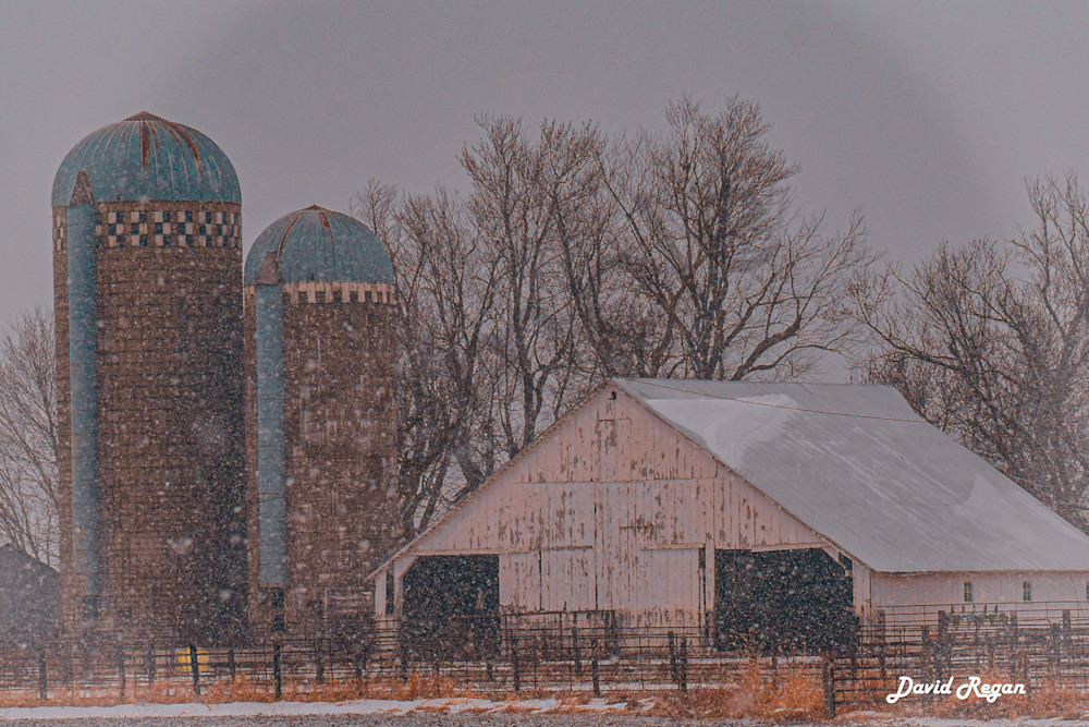 Dsc0038 4 Photography Art | Photos By Regan