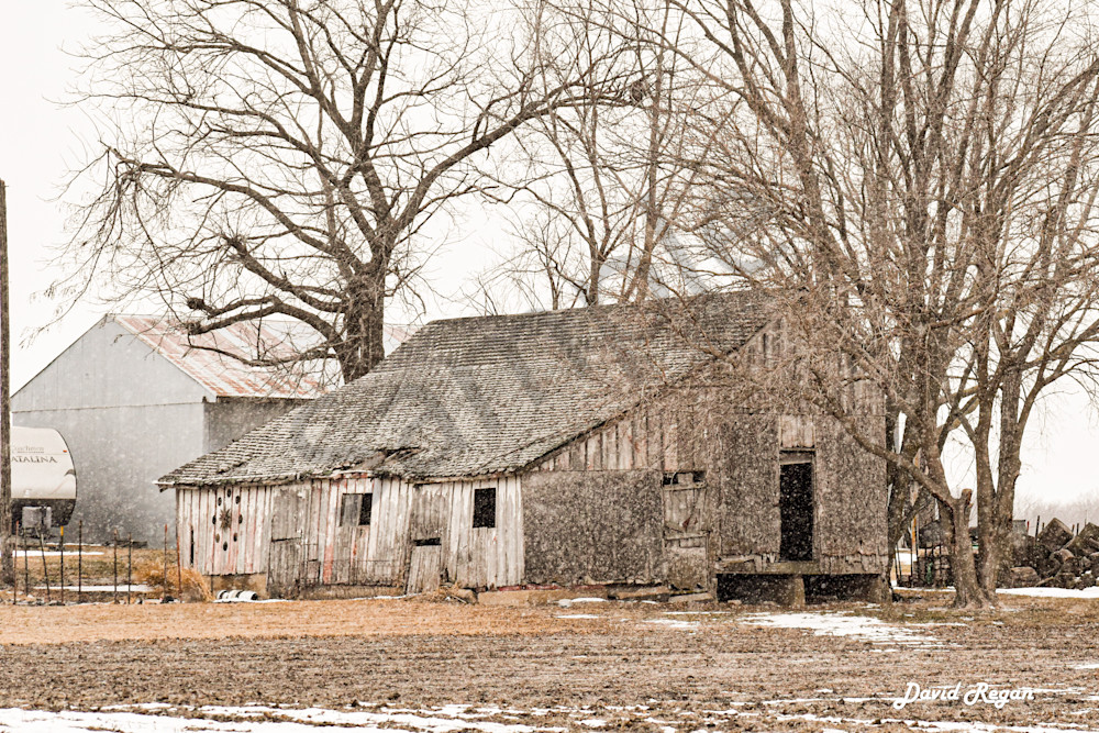 Dsc0003 9 Photography Art | Photos By Regan
