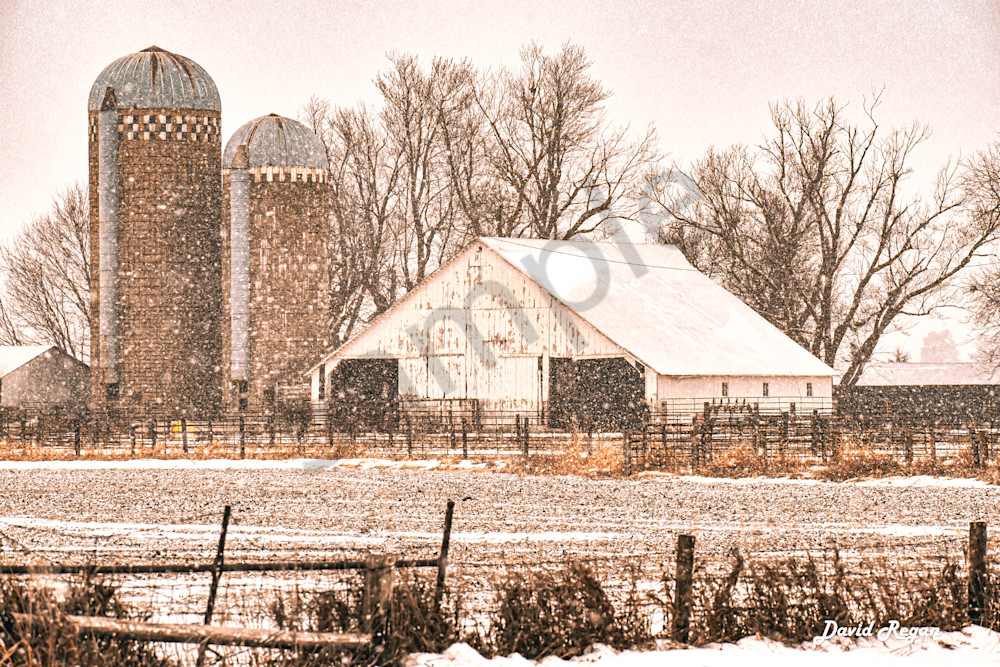 Dsc0041 5 Photography Art | Photos By Regan