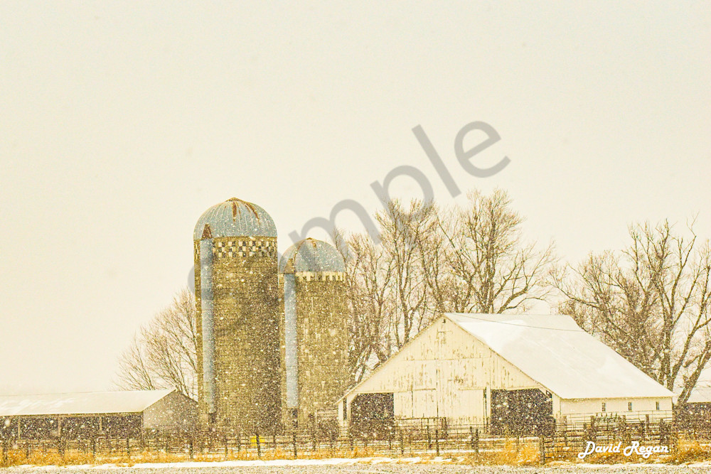 Dsc0035 3 Photography Art | Photos By Regan