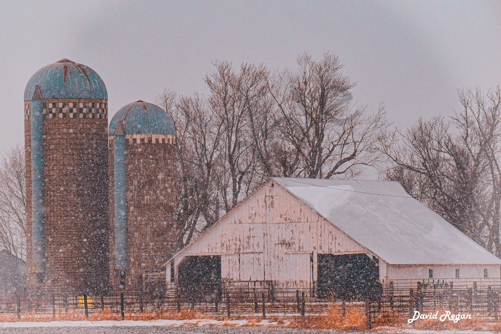 Dsc0039 2 Photography Art | Photos By Regan