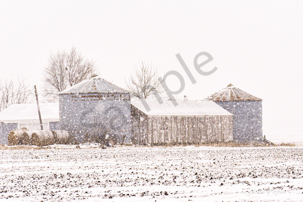 Dsc0052 2 Photography Art | Photos By Regan