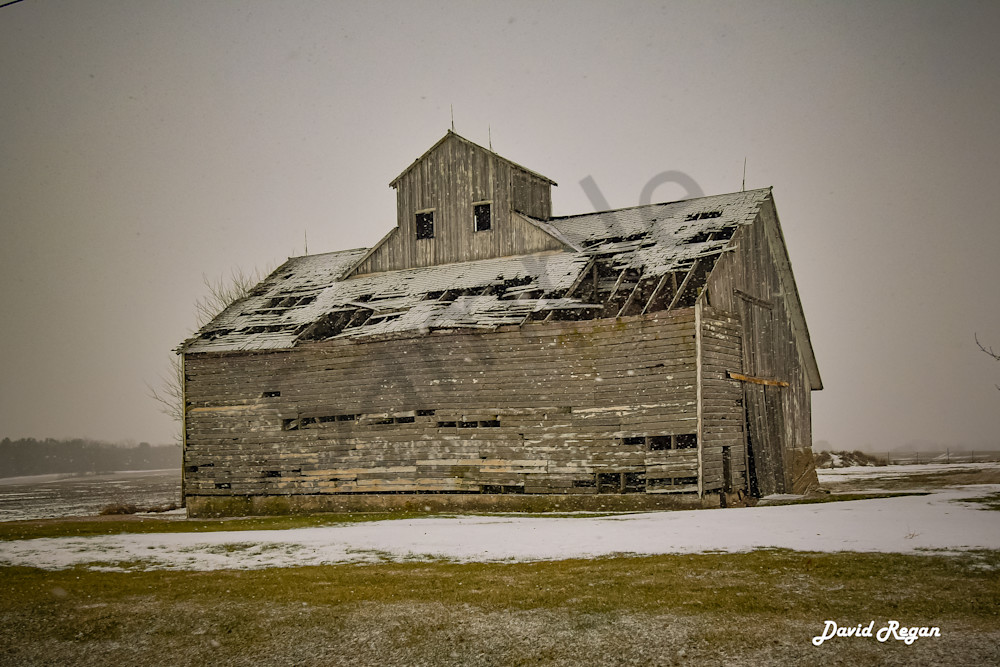 Dsc0034 4 Photography Art | Photos By Regan