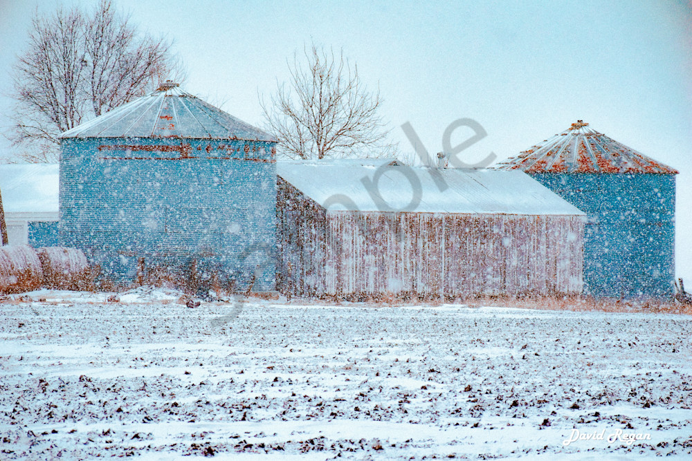 Dsc0054 2 Photography Art | Photos By Regan