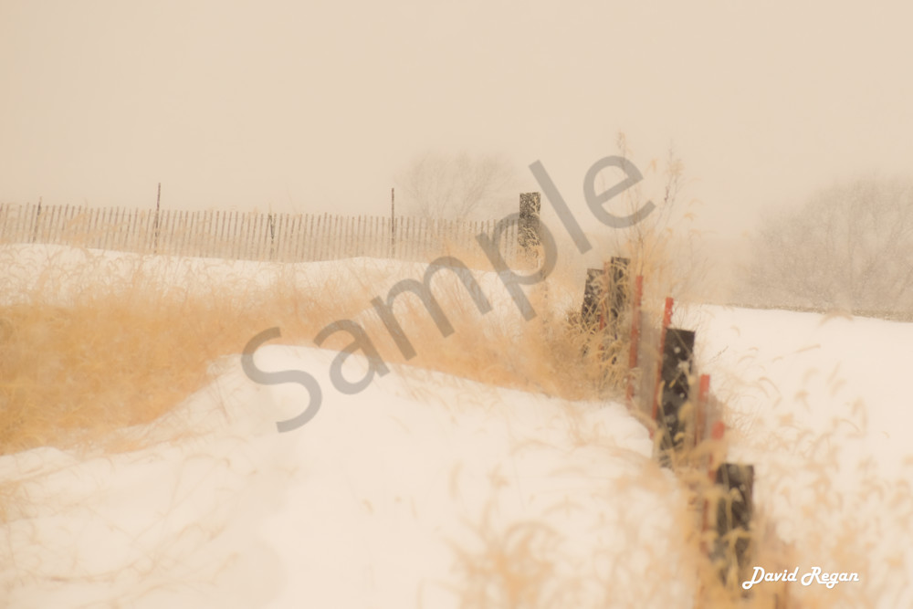 Dsc0016 10 Photography Art | Photos By Regan