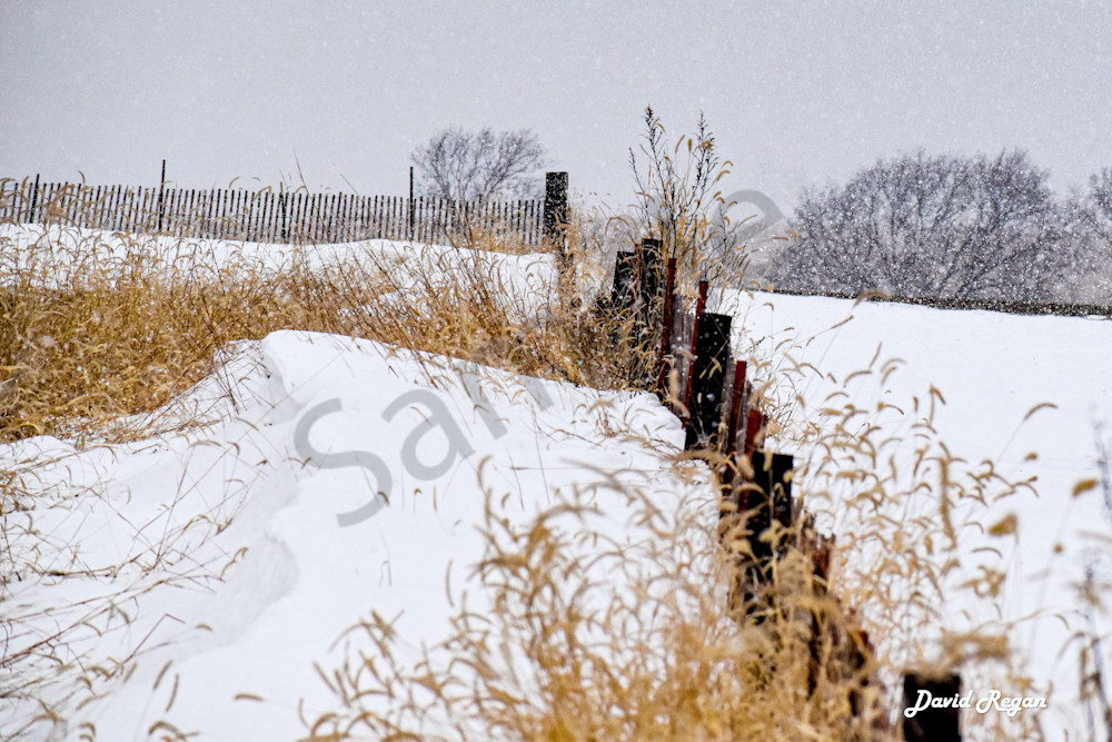 Dsc0017 5 Photography Art | Photos By Regan