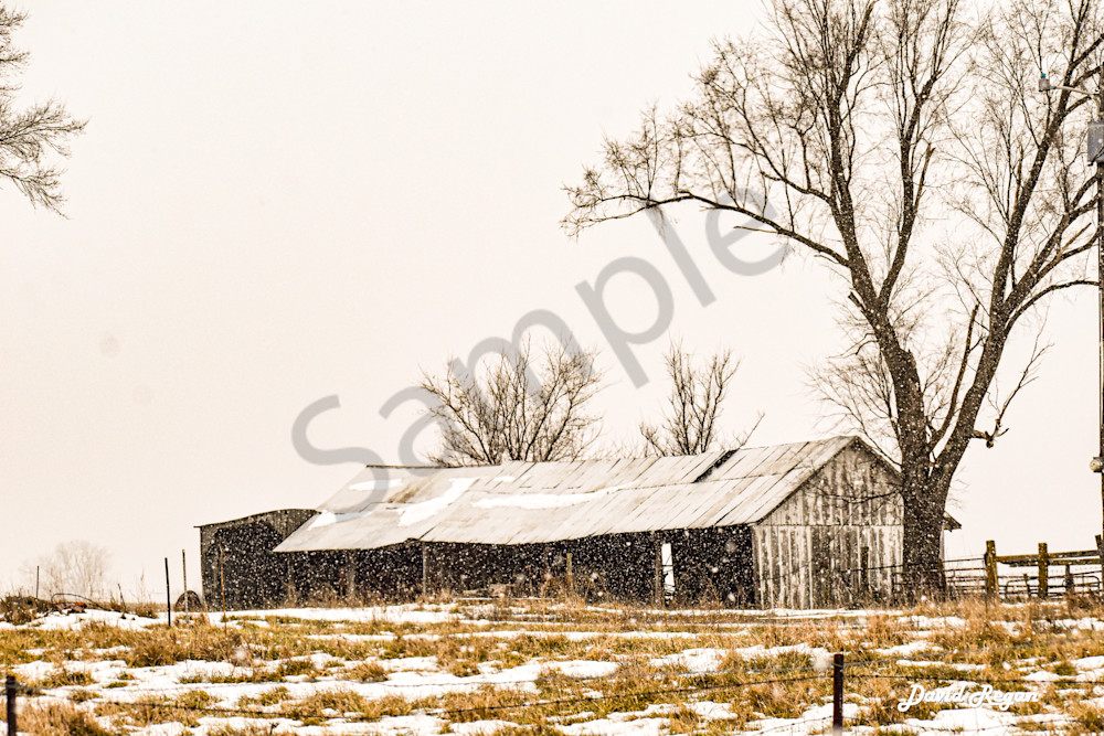 Dsc0020 4 Photography Art | Photos By Regan