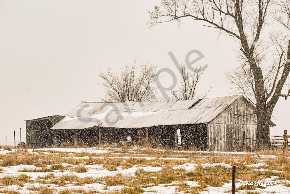 Dsc0021 10 Photography Art | Photos By Regan