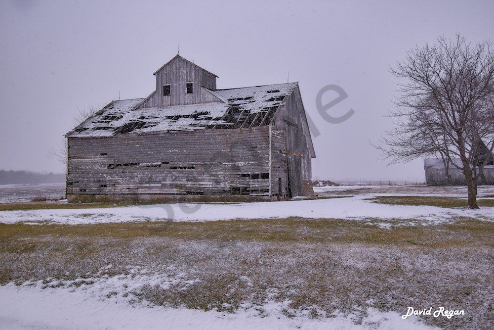 Dsc0032 5 Photography Art | Photos By Regan