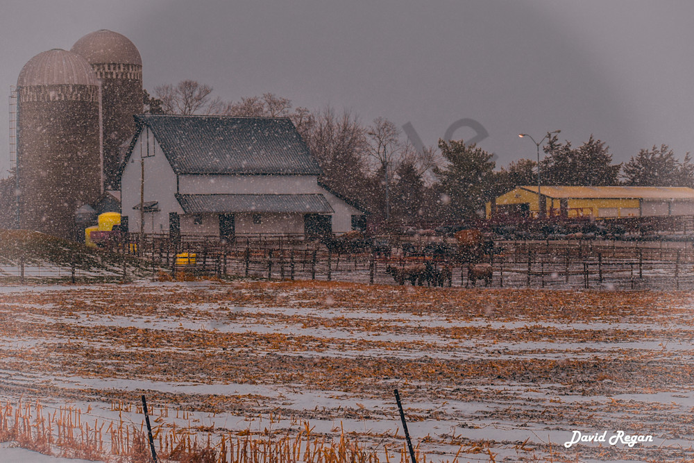 Dsc0026 8 Photography Art | Photos By Regan