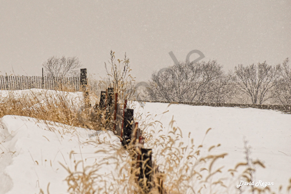 Dsc0015 3 Photography Art | Photos By Regan