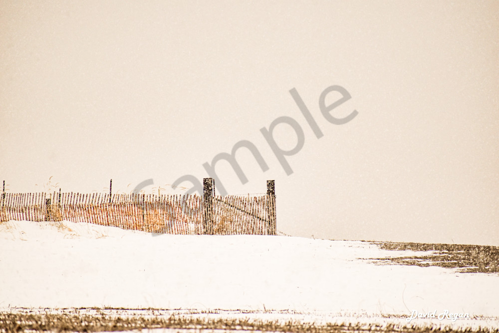 Dsc0013 12 Photography Art | Photos By Regan